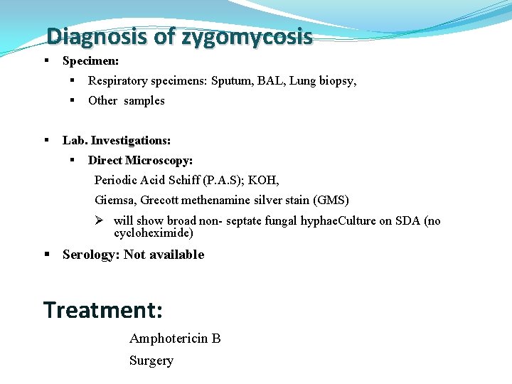 Diagnosis of zygomycosis § § Specimen: § Respiratory specimens: Sputum, BAL, Lung biopsy, §