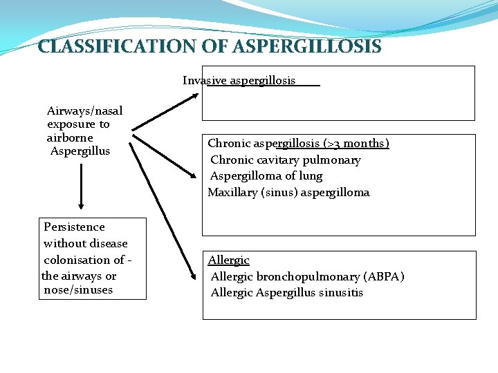 CLASSIFICATION OF ASPERGILLOSIS Invasive aspergillosis Airways/nasal exposure to airborne Aspergillus Persistence without disease colonisation