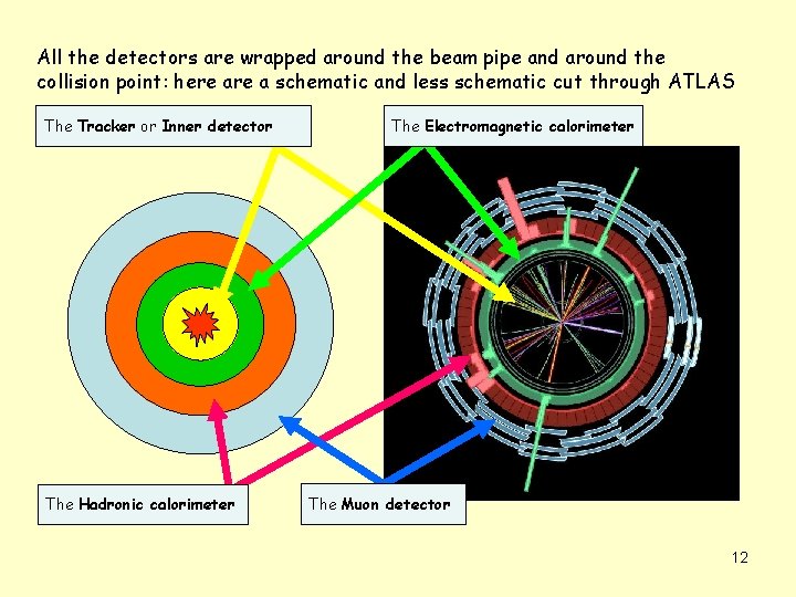 All the detectors are wrapped around the beam pipe and around the collision point: