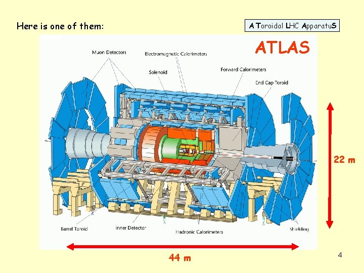 Here is one of them: A Toroidal LHC Apparatu. S ATLAS 22 m 44