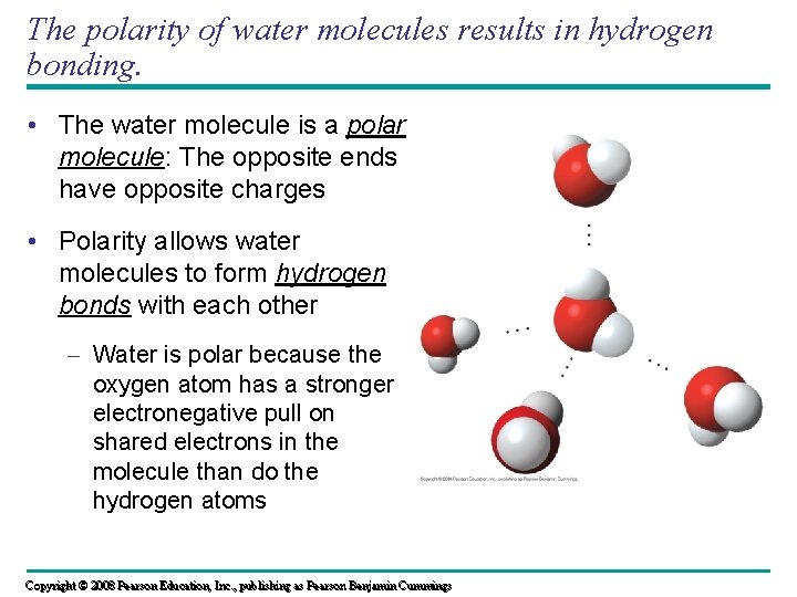 The polarity of water molecules results in hydrogen bonding. • The water molecule is