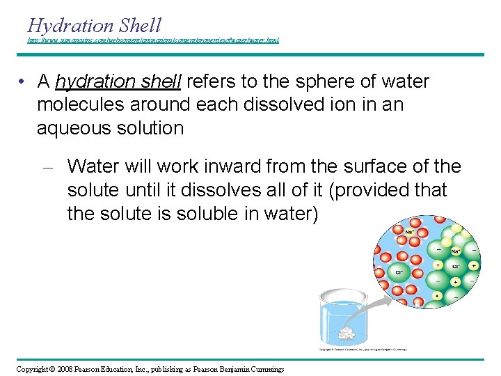 Hydration Shell http: //www. sumanasinc. com/webcontent/animations/content/propertiesofwater/water. html • A hydration shell refers to the