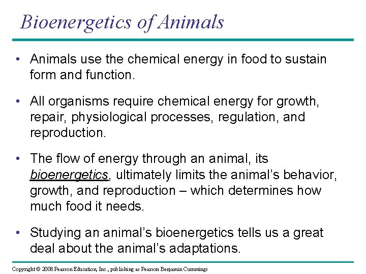 Bioenergetics of Animals • Animals use the chemical energy in food to sustain form