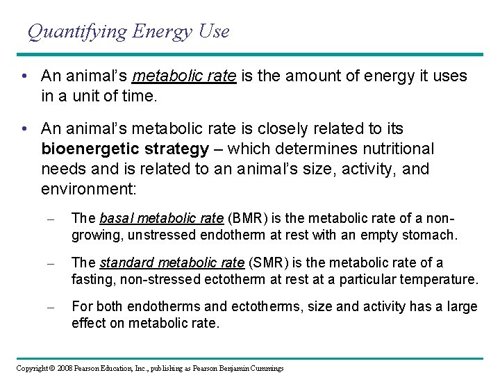 Quantifying Energy Use • An animal’s metabolic rate is the amount of energy it