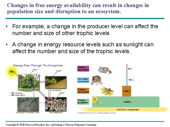 Changes in free energy availability can result in changes in population size and disruption