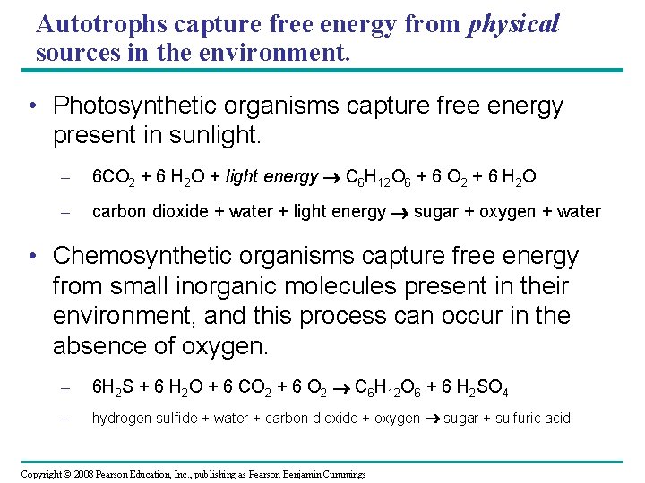 Autotrophs capture free energy from physical sources in the environment. • Photosynthetic organisms capture