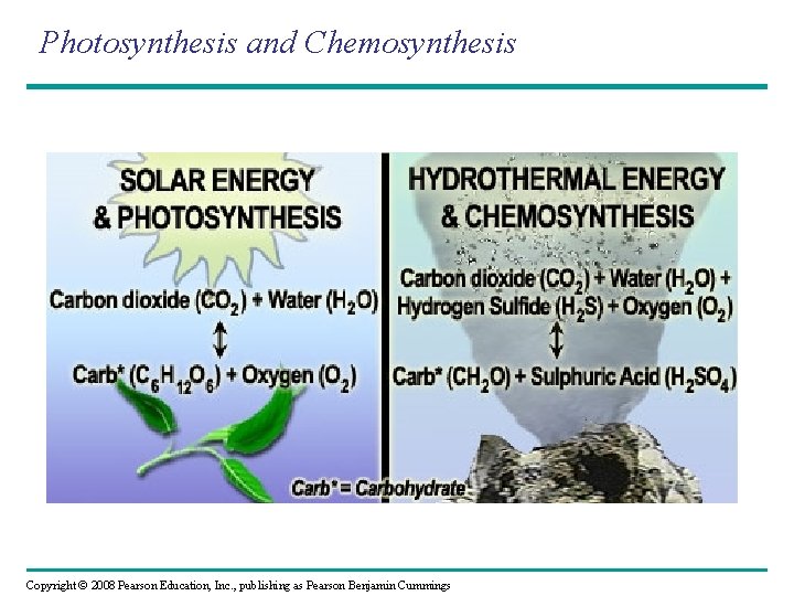 Photosynthesis and Chemosynthesis Copyright © 2008 Pearson Education, Inc. , publishing as Pearson Benjamin