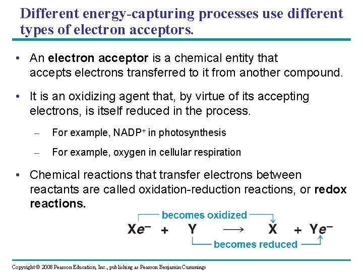 Different energy-capturing processes use different types of electron acceptors. • An electron acceptor is