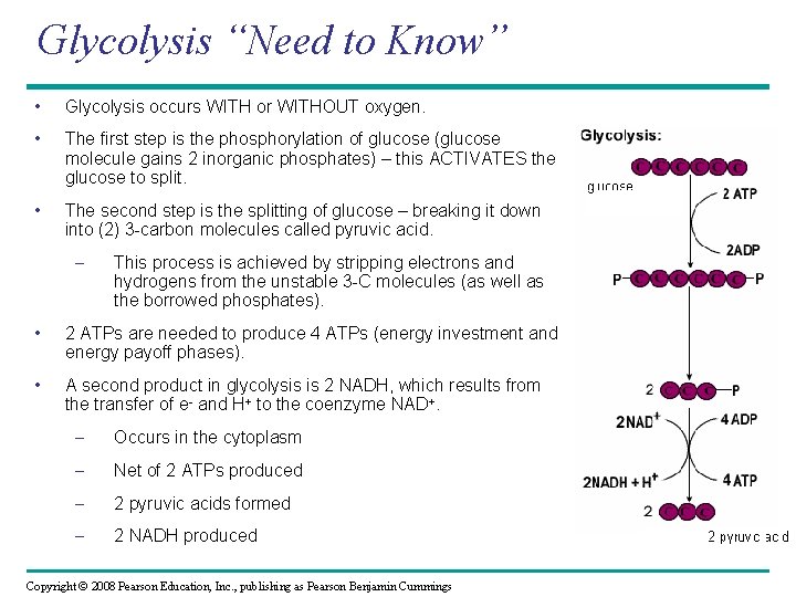 Glycolysis “Need to Know” • Glycolysis occurs WITH or WITHOUT oxygen. • The first