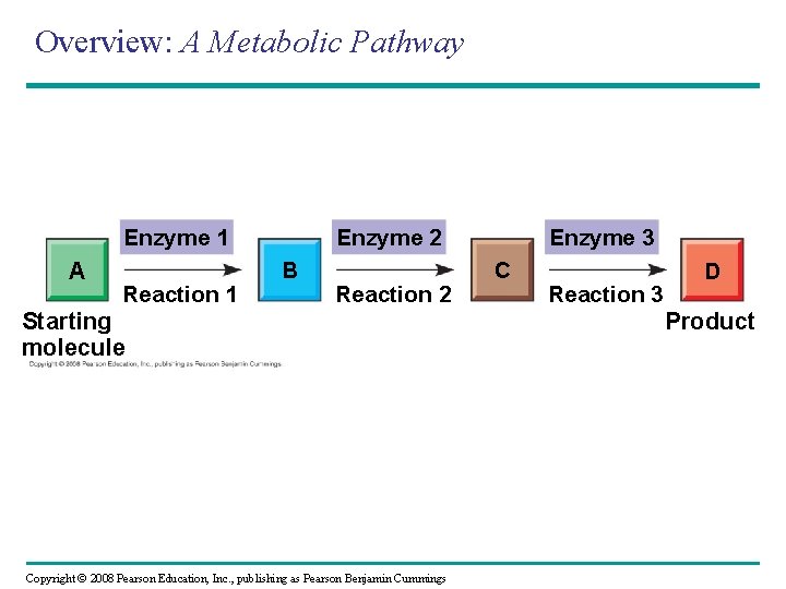 Overview: A Metabolic Pathway Enzyme 1 A Reaction 1 Enzyme 2 B Reaction 2