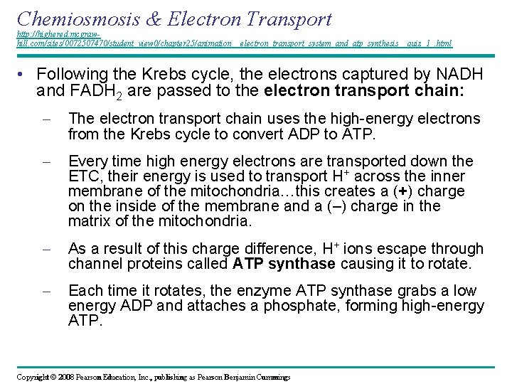 Chemiosmosis & Electron Transport http: //highered. mcgrawhill. com/sites/0072507470/student_view 0/chapter 25/animation__electron_transport_system_and_atp_synthesis__quiz_1_. html • Following the