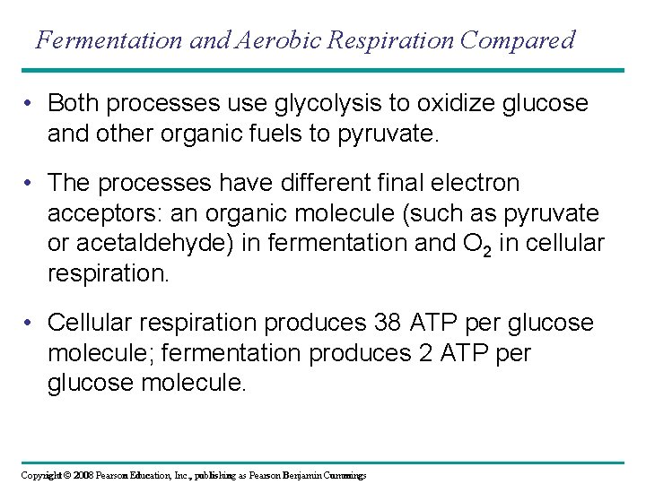 Fermentation and Aerobic Respiration Compared • Both processes use glycolysis to oxidize glucose and