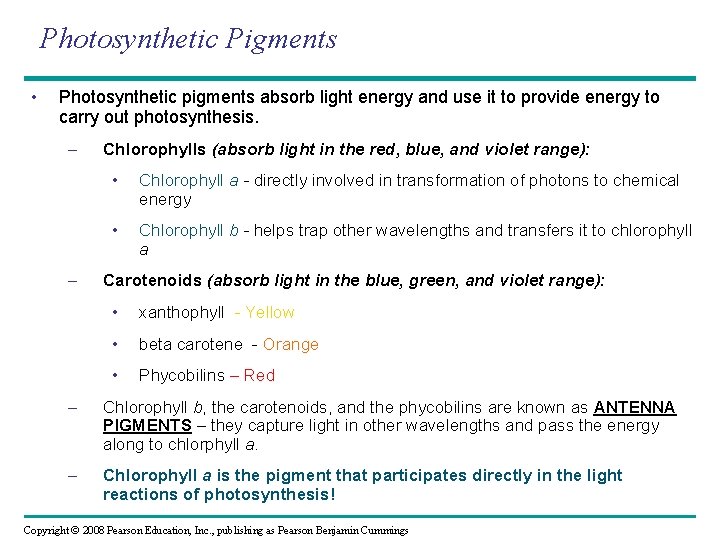 Photosynthetic Pigments • Photosynthetic pigments absorb light energy and use it to provide energy