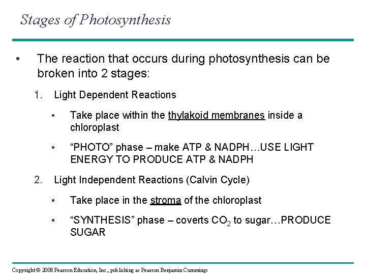 Stages of Photosynthesis • The reaction that occurs during photosynthesis can be broken into