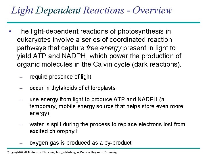 Light Dependent Reactions - Overview • The light-dependent reactions of photosynthesis in eukaryotes involve