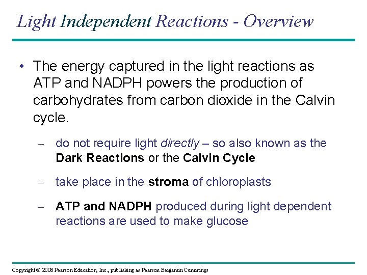 Light Independent Reactions - Overview • The energy captured in the light reactions as