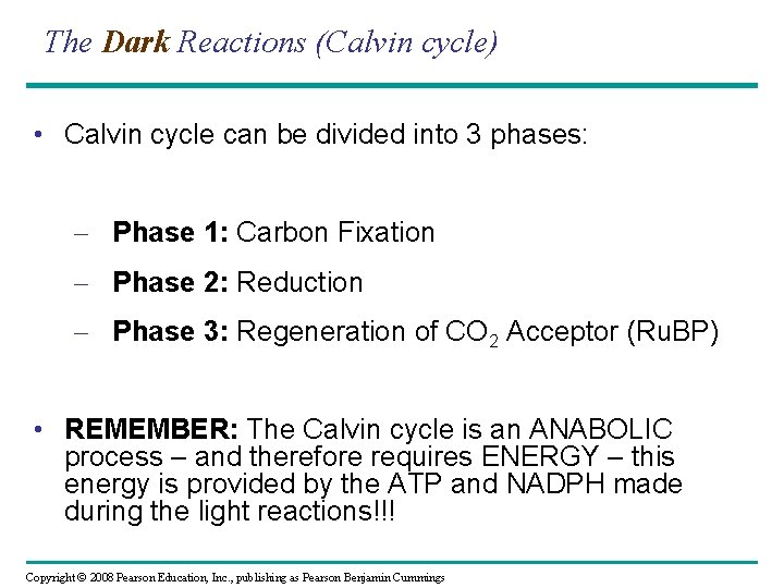 The Dark Reactions (Calvin cycle) • Calvin cycle can be divided into 3 phases: