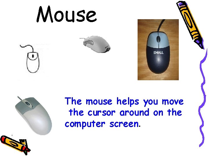 Mouse The mouse helps you move the cursor around on the computer screen. 