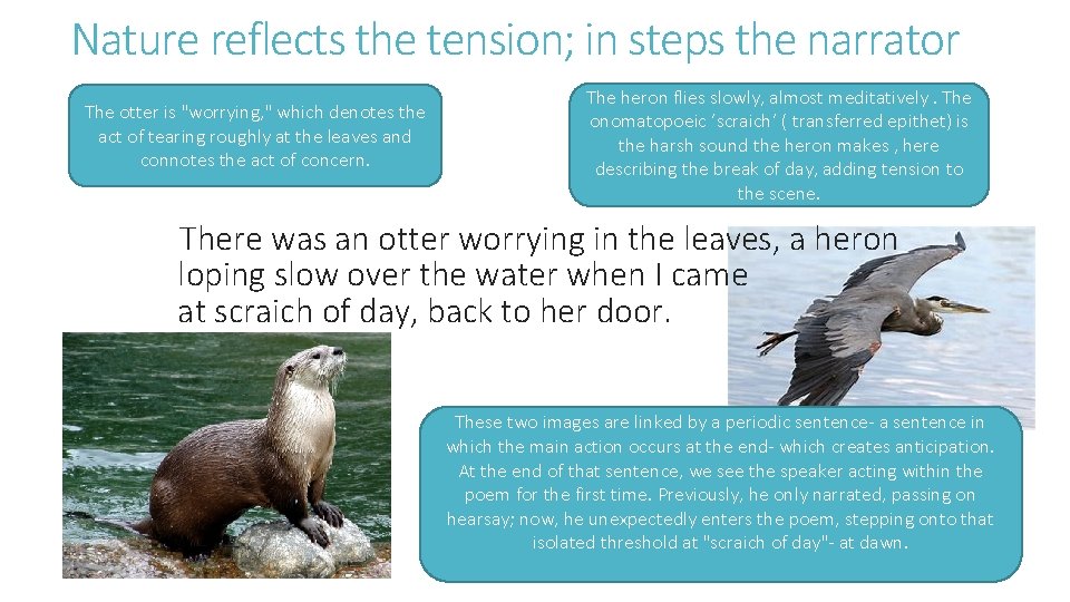 Nature reflects the tension; in steps the narrator The otter is "worrying, " which