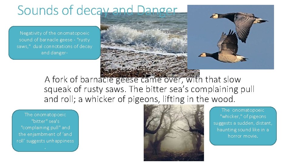 Sounds of decay and Danger Negativity of the onomatopoeic sound of barnacle geese -