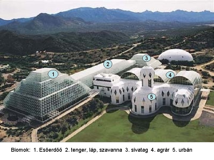 2 3 1 4 5 Biomok: 1. Esőerdőő 2. tenger, láp, szavanna 3. sivatag 2 3 1 4 5 Biomok: 1. Esőerdőő 2. tenger, láp, szavanna 3. sivatag