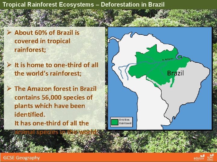 Tropical Rainforest Ecosystems – Deforestation in Brazil Ø About 60% of Brazil is covered Tropical Rainforest Ecosystems – Deforestation in Brazil Ø About 60% of Brazil is covered