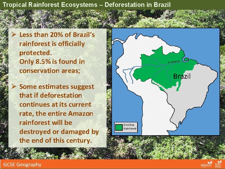 Tropical Rainforest Ecosystems – Deforestation in Brazil Ø Less than 20% of Brazil’s rainforest Tropical Rainforest Ecosystems – Deforestation in Brazil Ø Less than 20% of Brazil’s rainforest