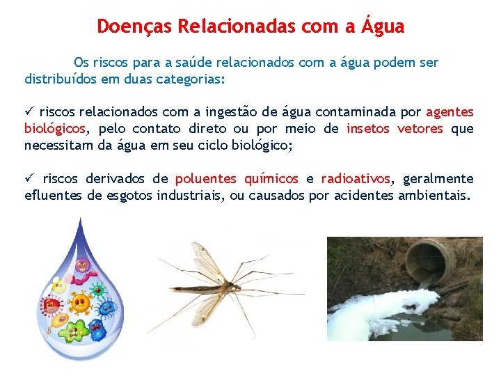 Doenças Relacionadas com a Água Os riscos para a saúde relacionados com a água