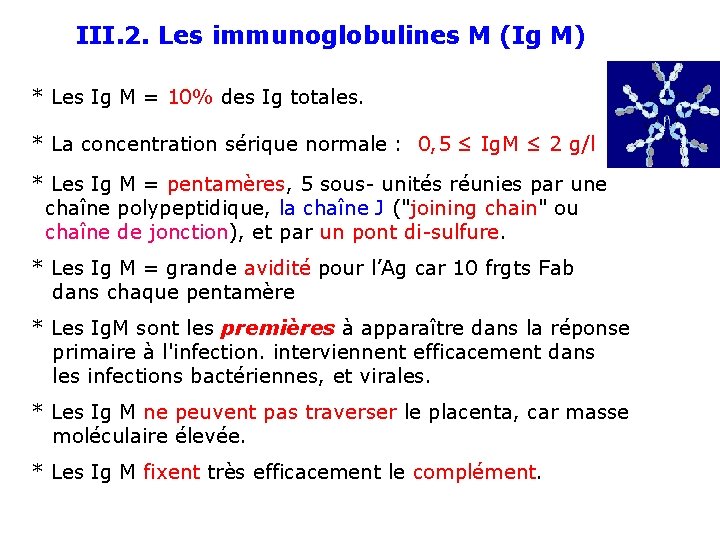 III. 2. Les immunoglobulines M (Ig M) * Les Ig M = 10% des