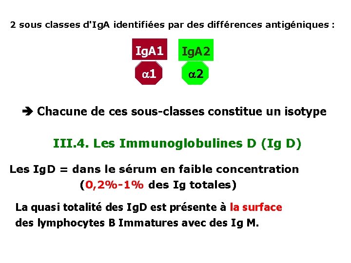 2 sous classes d'Ig. A identifiées par des différences antigéniques : Ig. A 1