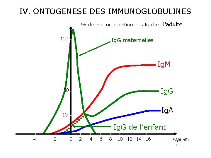 IV. ONTOGENESE DES IMMUNOGLOBULINES % de la concentration des Ig chez l’adulte 100 Ig.
