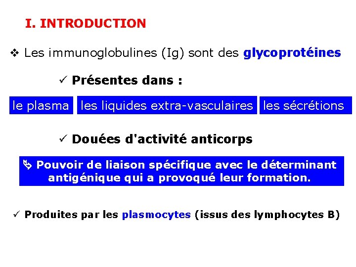 I. INTRODUCTION v Les immunoglobulines (Ig) sont des glycoprotéines ü Présentes dans : le