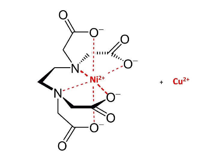 Ni 2+ + Cu 2+ 