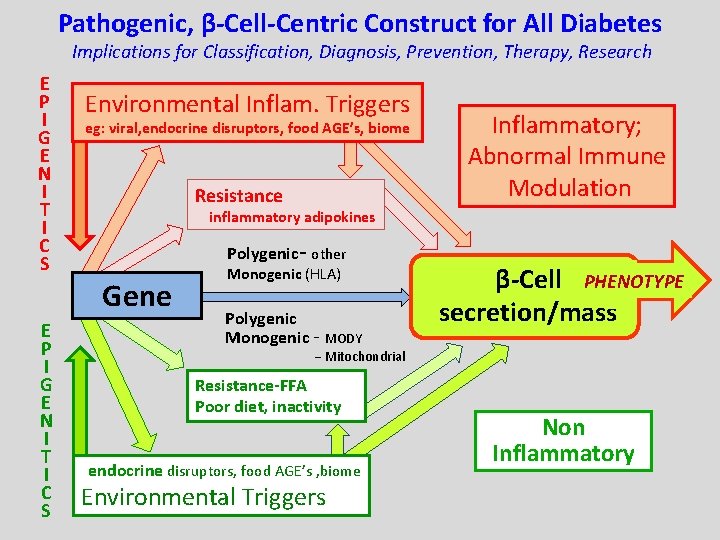 Pathogenic, β-Cell-Centric Construct for All Diabetes Implications for Classification, Diagnosis, Prevention, Therapy, Research E