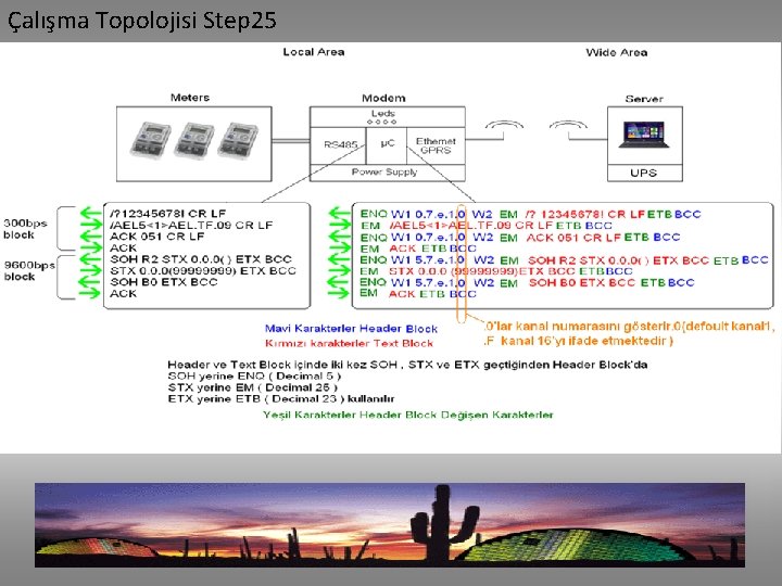 Çalışma Topolojisi Step 25 