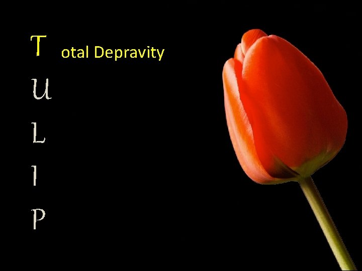 T otal Depravity U L I P 