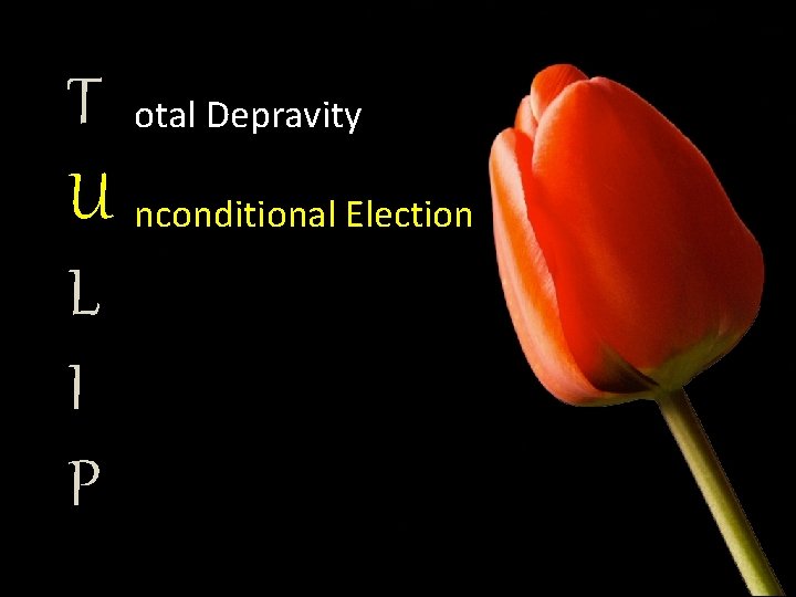 T otal Depravity U nconditional Election L I P 