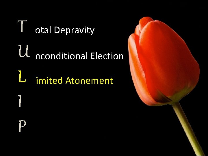 T otal Depravity U nconditional Election L imited Atonement I P 