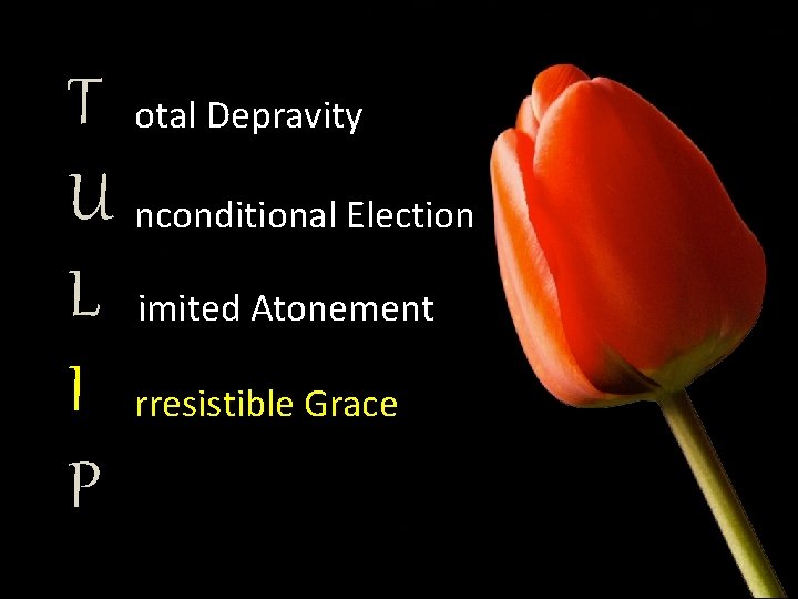 T otal Depravity U nconditional Election L imited Atonement I rresistible Grace P 