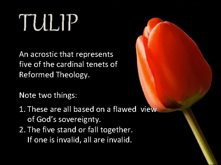 TULIP An acrostic that represents five of the cardinal tenets of Reformed Theology. Note