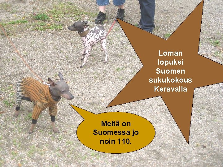 Loman lopuksi Suomen sukukokous Keravalla Meitä on Suomessa jo noin 110. 