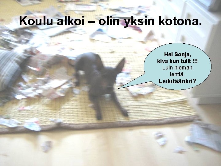 Koulu alkoi – olin yksin kotona. Hei Sonja, kiva kun tulit !!! Luin hieman