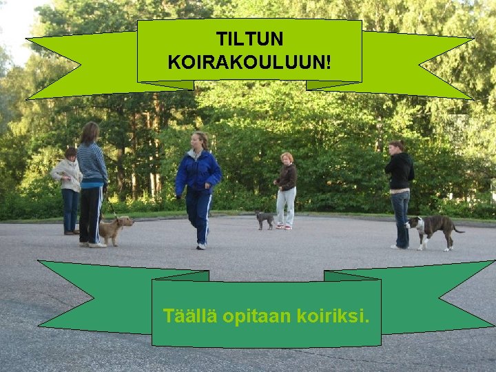 TILTUN KOIRAKOULUUN! Täällä opitaan koiriksi. 