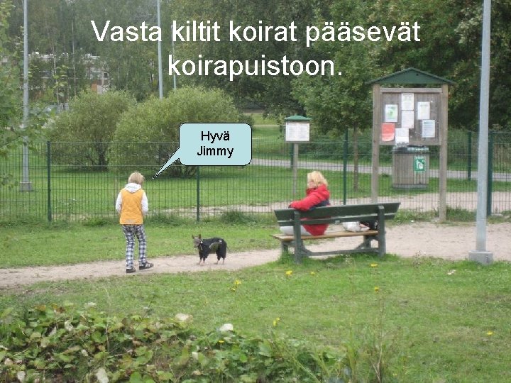 Vasta kiltit koirat pääsevät koirapuistoon. Hyvä Jimmy 