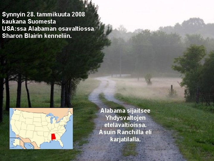 Synnyin 28. tammikuuta 2008 kaukana Suomesta USA: ssa Alabaman osavaltiossa Sharon Blairin kenneliin. Alabama