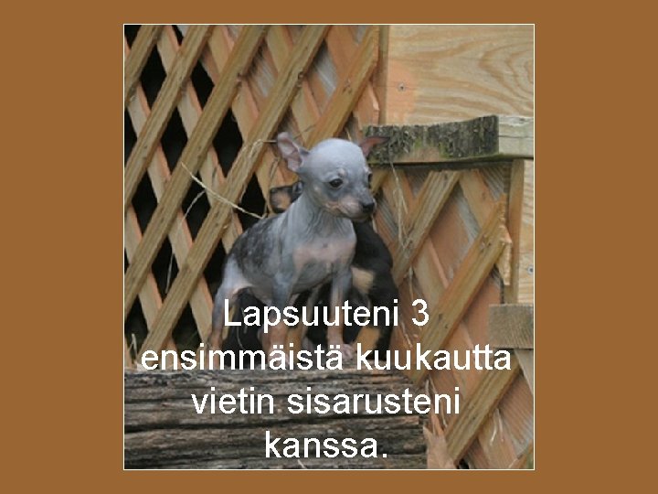 Lapsuuteni 3 ensimmäistä kuukautta vietin sisarusteni kanssa. 