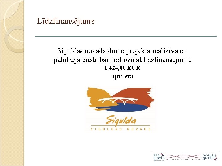 Līdzfinansējums Siguldas novada dome projekta realizēšanai palīdzēja biedrībai nodrošināt līdzfinansējumu 1 424, 00 EUR