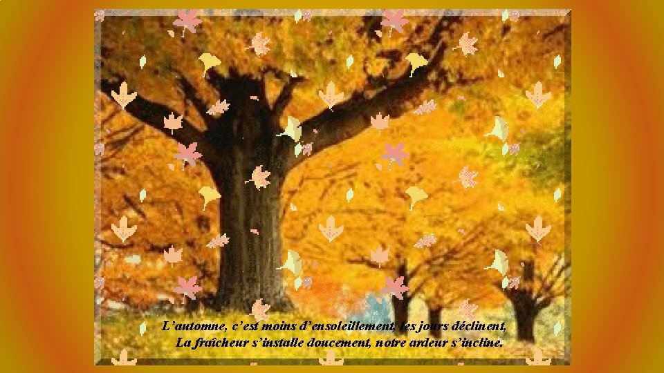 L’automne, c’est moins d’ensoleillement, les jours déclinent, La fraîcheur s’installe doucement, notre ardeur s’incline.