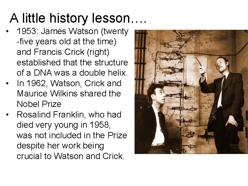A little history lesson…. • 1953: James Watson (twenty -five years old at the