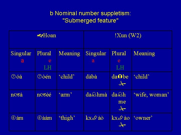 b Nominal number suppletism: "Submerged feature" Hoan !Xun (W 2) Singular Plural e a